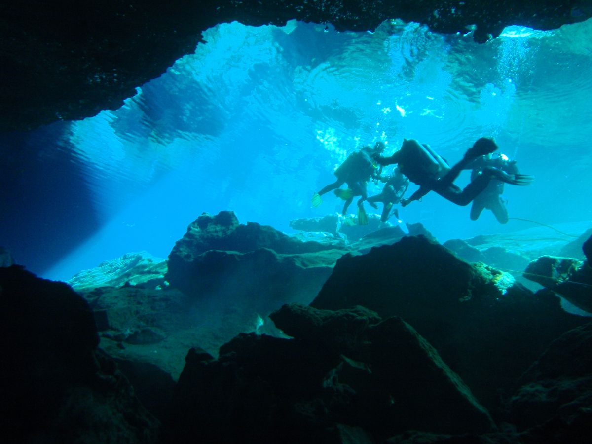 Devil's Den Diving, A Prehistoric Adventure! - REESE H.